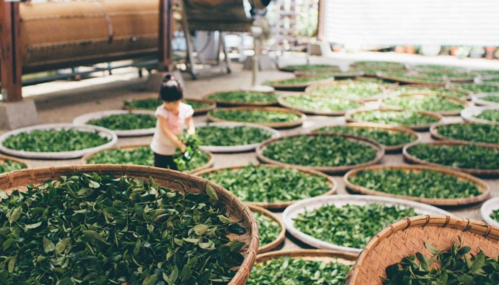what can make green tea taste bitter